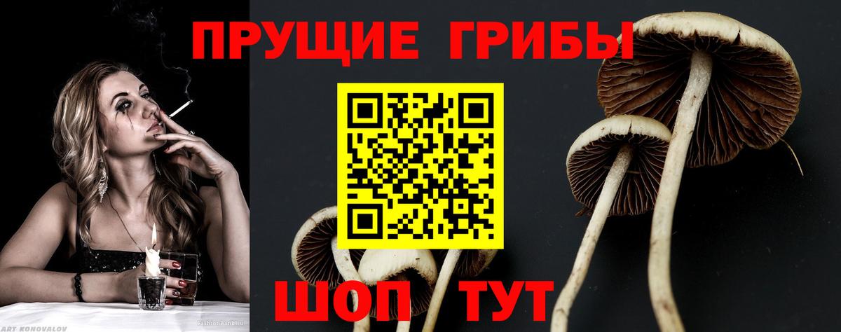 Галлюциногенные грибы ЛСД Кольчугино